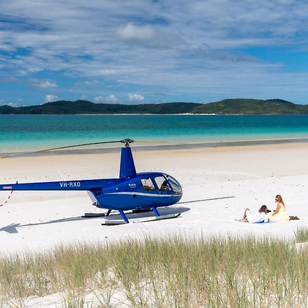 Big4 Whitsundays Tropical Eco Resort شاطئ إيرلي المظهر الخارجي الصورة